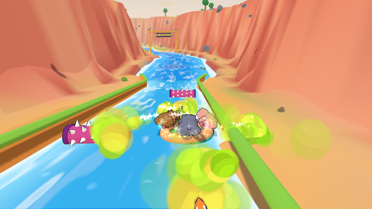 Canyon Rapids